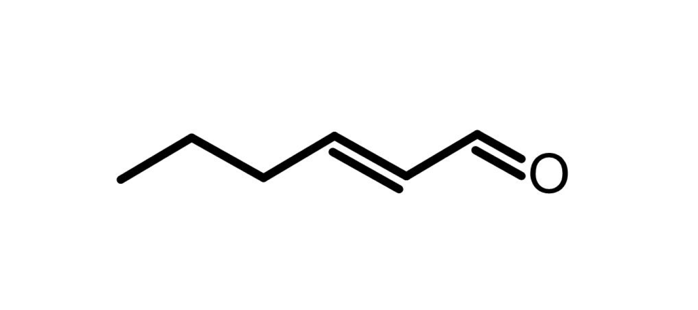 Molecule Illustration